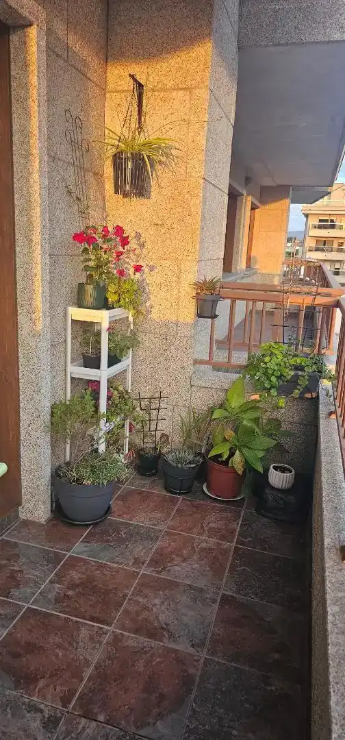 Terrasse von Wohnungen zur Miete in Sanxenxo mit Möbliert, Ofen und Waschmaschine
