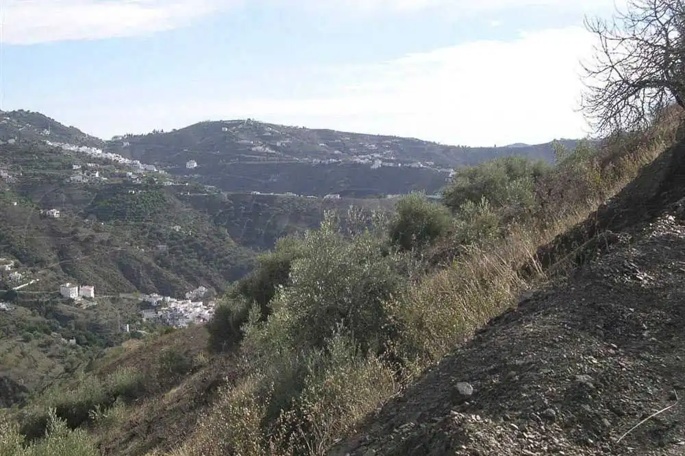 Terreny rústic en venda a Canillas de Albaida, imagen 4