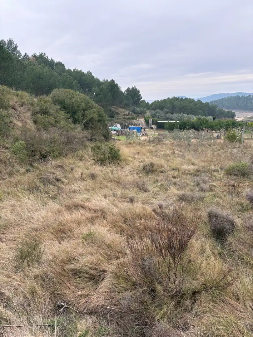 Terreno rústico en venta en Lardero, imagen 8