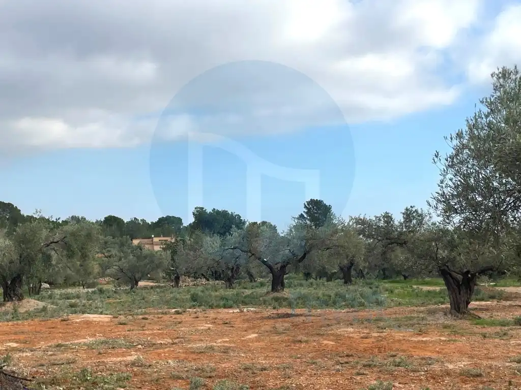 Country house for sale in Camarles, imagen 9
