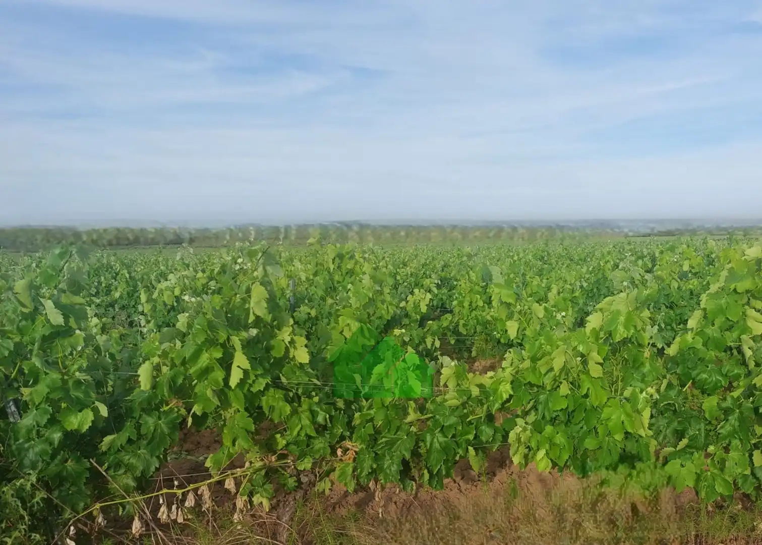 Terreni e lotti in vendita a Guadiana, imagen 4
