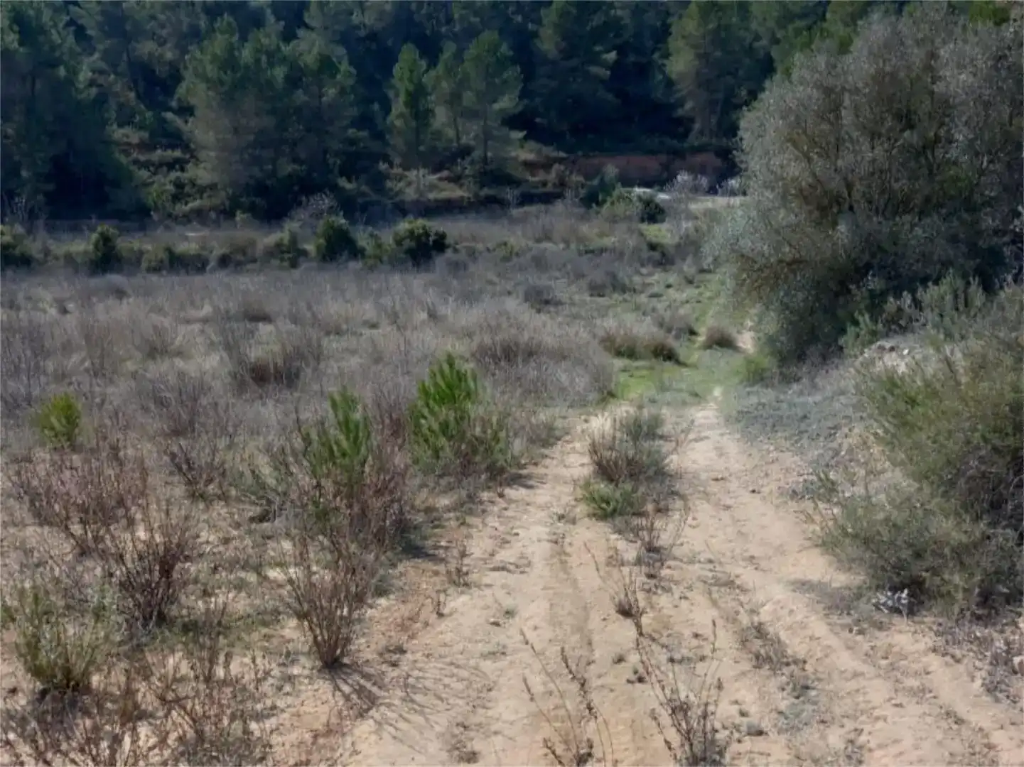 Terreno en venta en Corbera d'Ebre