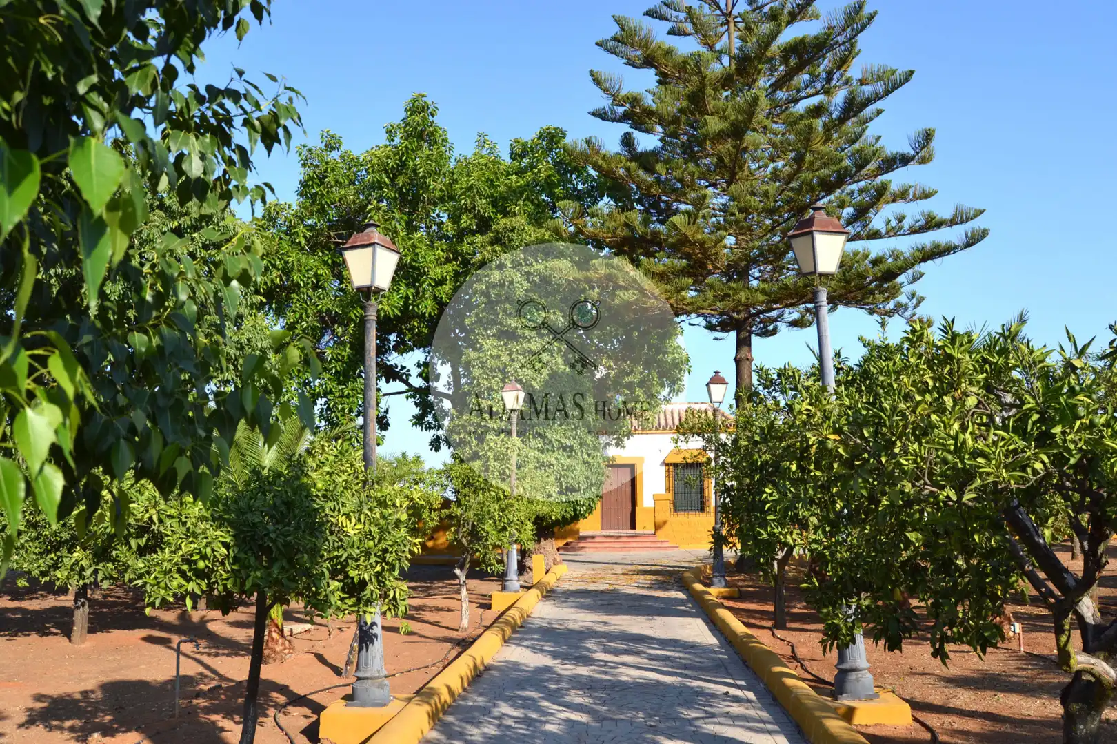 Vista exterior de Casa o xalet en venda en Sanlúcar la Mayor amb Jardí privat, Terrassa i Piscina