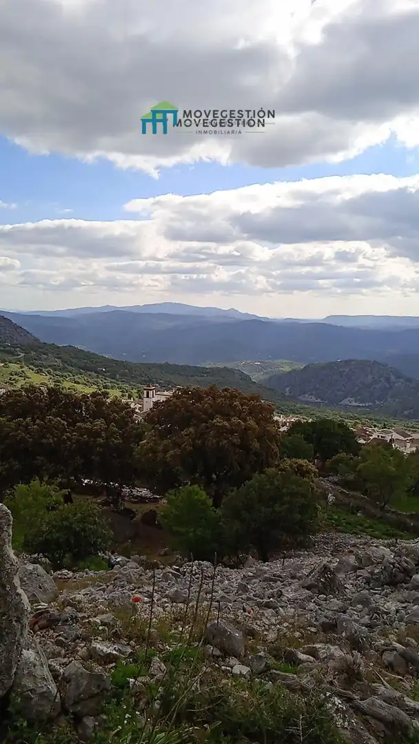 Terrain rustique à vendre à Benaocaz, imagen 4