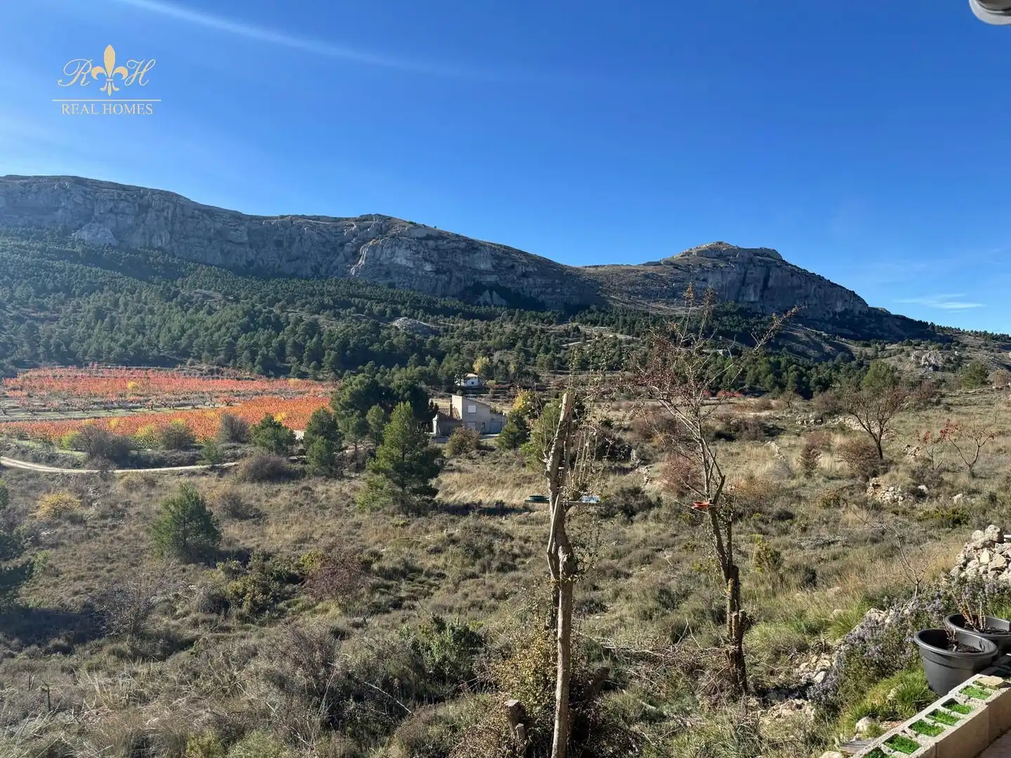 Casa o xalet en venda en Confrides
