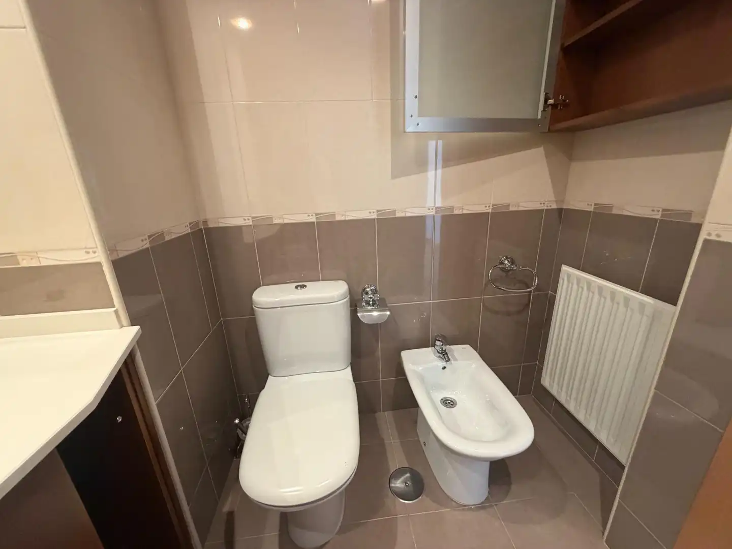 Bathroom of Flat for rent in Nava, Asturias