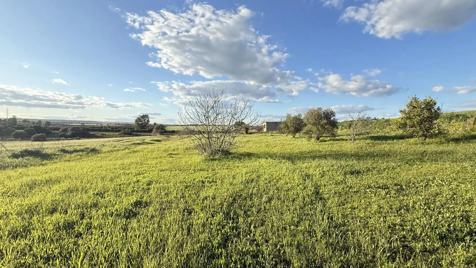 Terreno en venta en Gibraleón