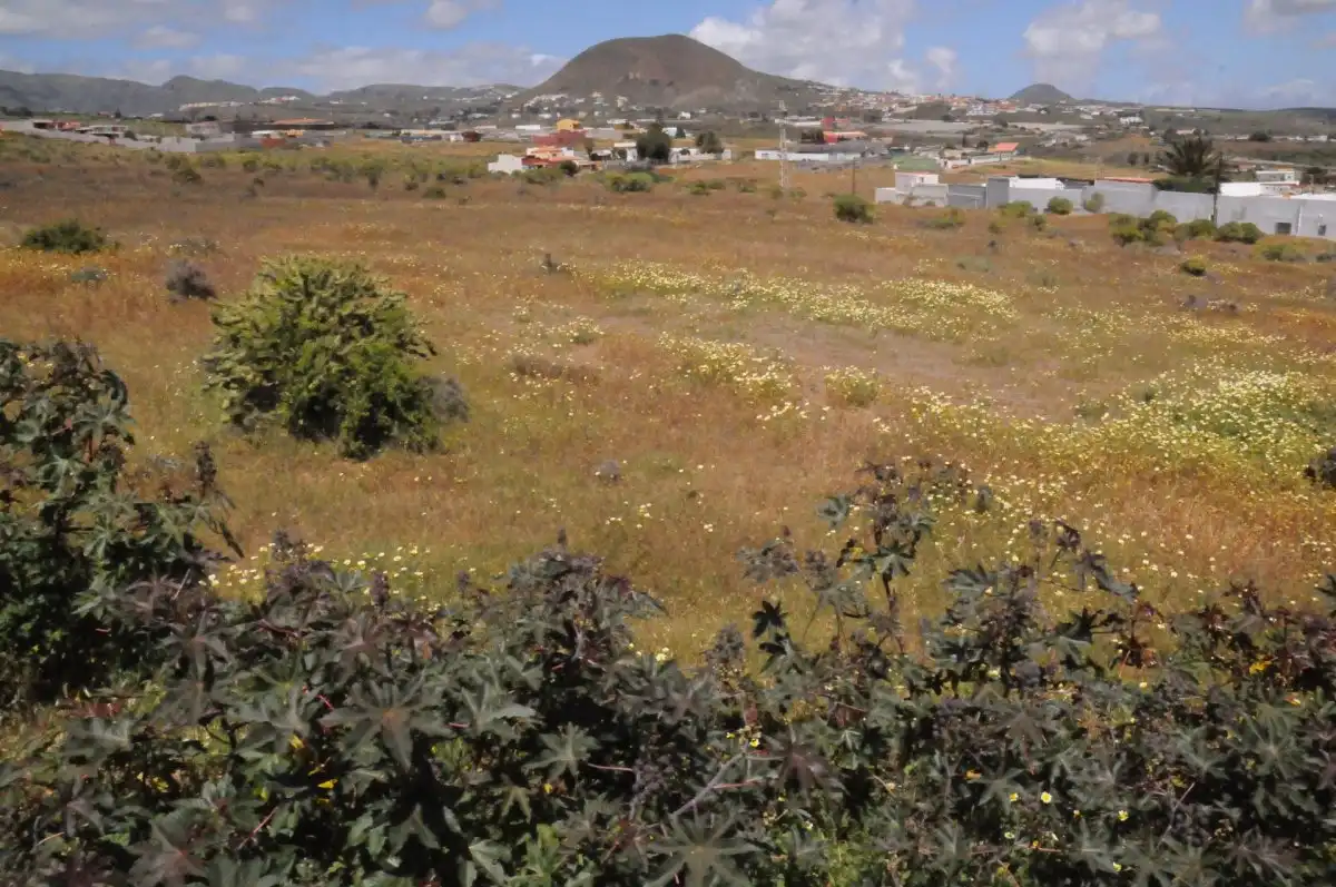 Rural land for sale in Valle de los Nueve - El Ejido - Medianías, imagen 4
