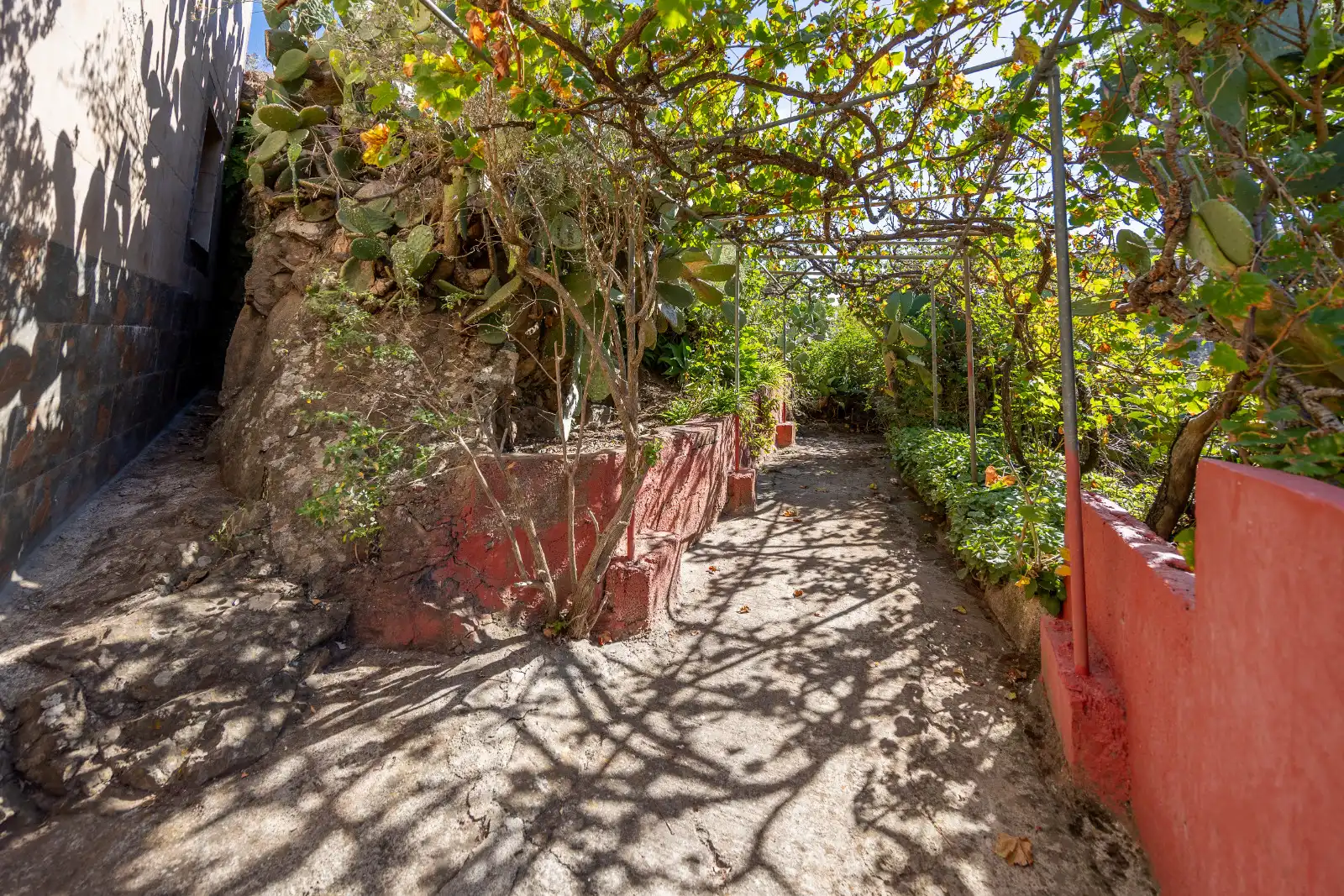 Casa rústica amb jardí en venda a Montaña Alta, imagen 51