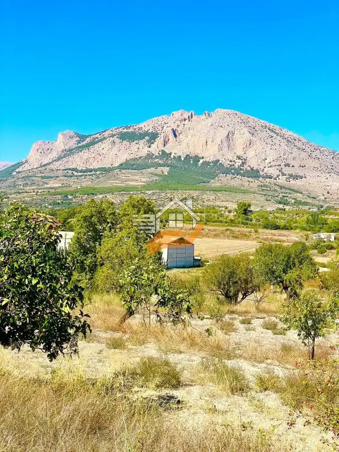 Residential land for sale in Vélez-Rubio, imagen 5