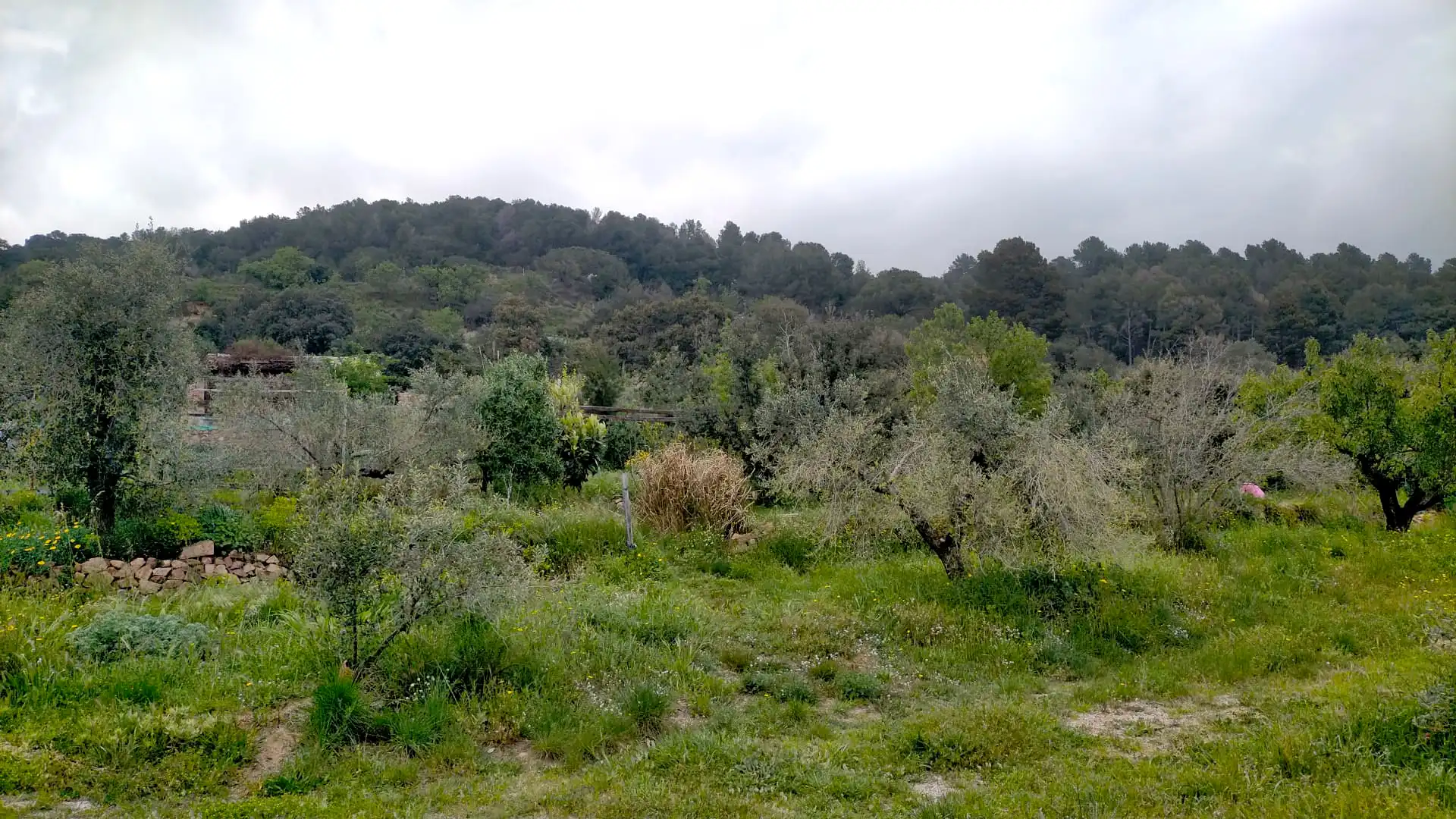 Country homes for rent in Alforja
