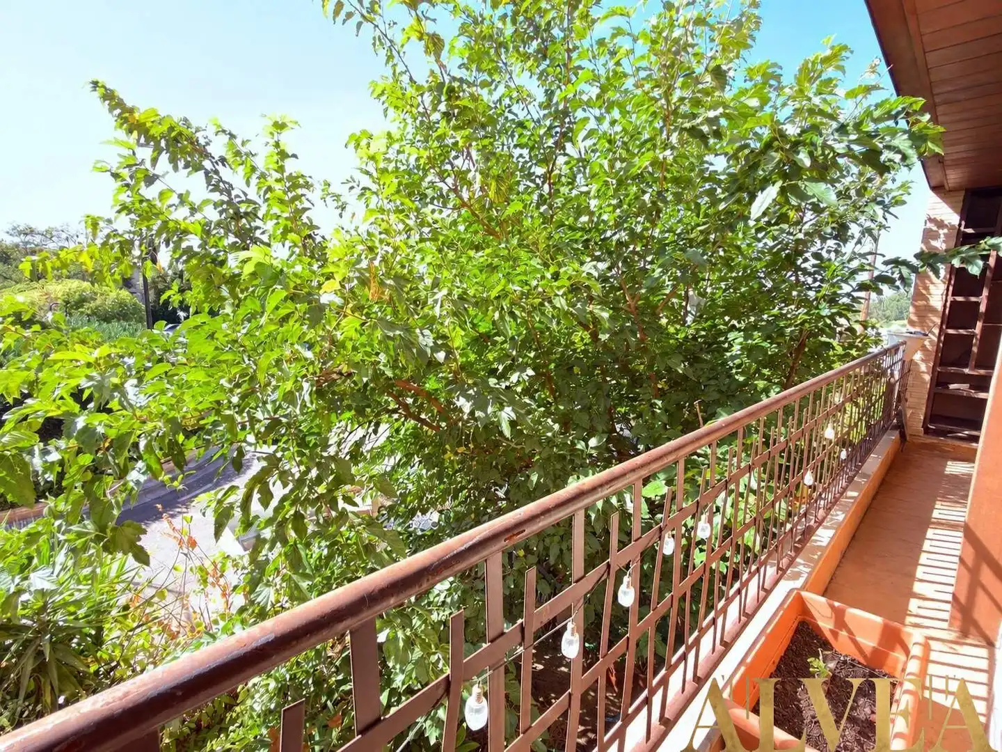 Casa en venda a Plaza MAYOR (VENTA OLIVAR), imagen 46