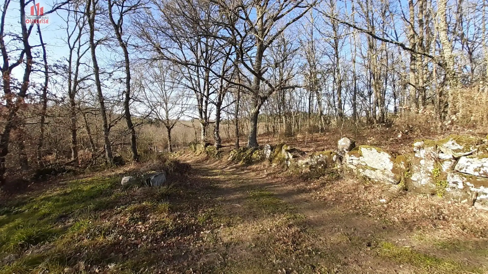 Terreni e lotti in vendita a O Pereiro de Aguiar, imagen 15