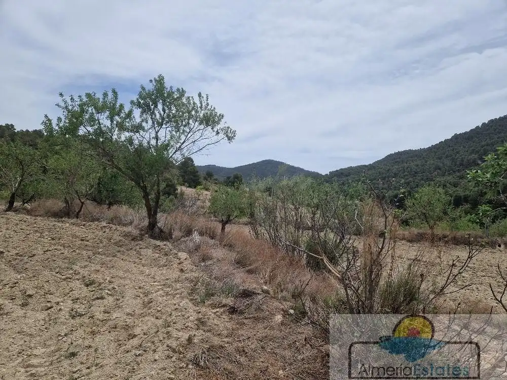 Country house for sale in Albox, imagen 17