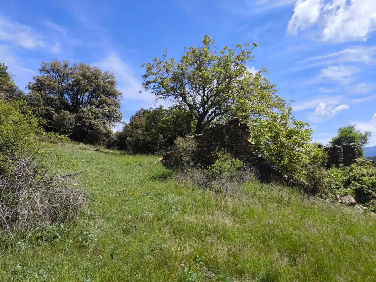 Country homes for sale in Ribera d'Urgellet