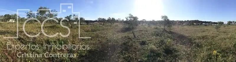 Finca rústica en venta en Almonte