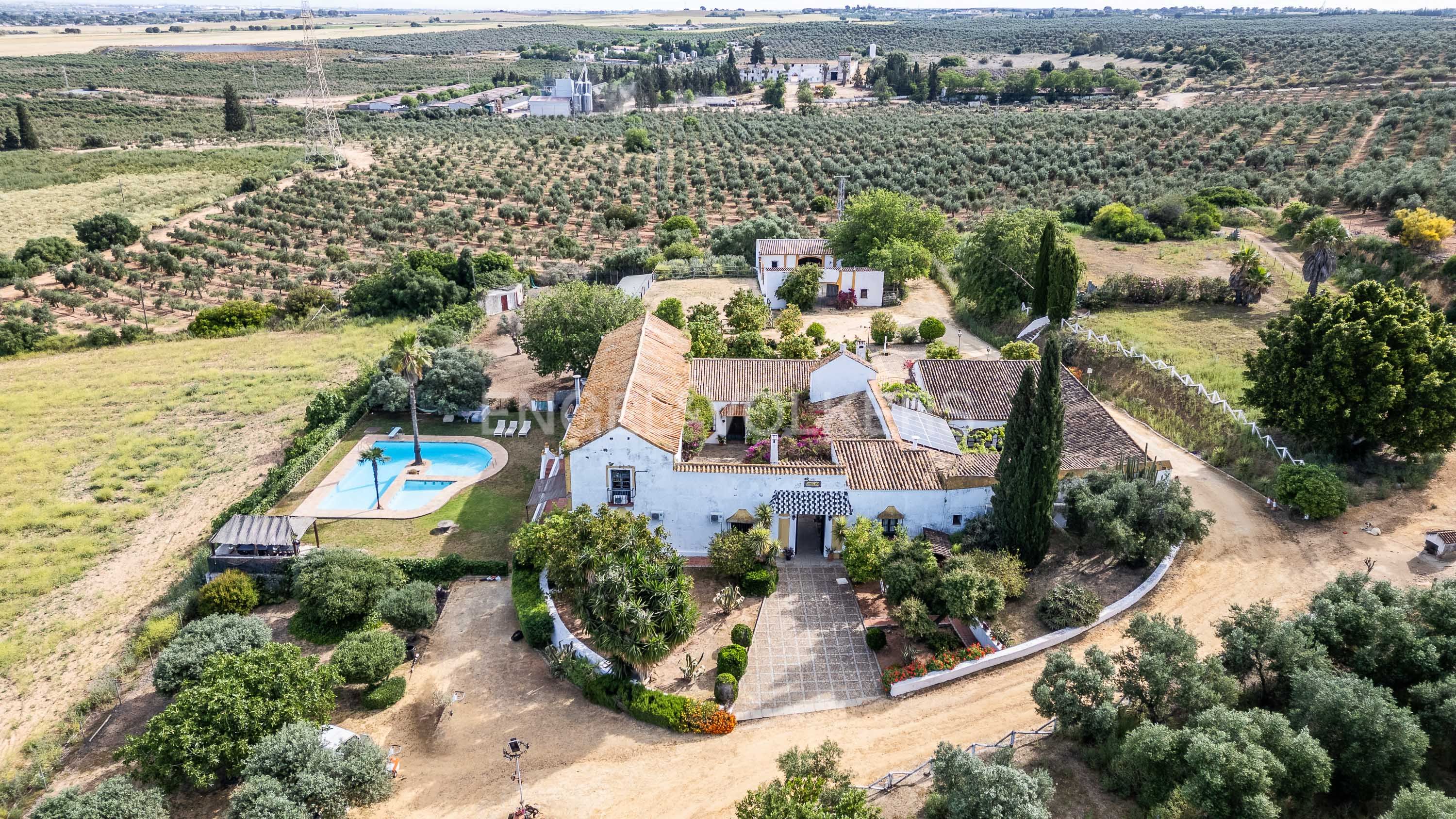 Garden of Country house for sale in Alcalá de Guadaira  with Air Conditioner, Heating and Private garden