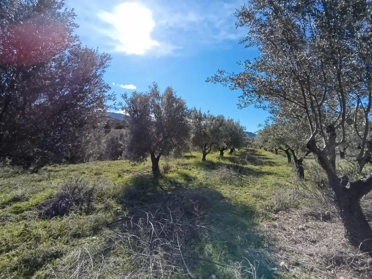 Country house for sale in Batoi, imagen 30