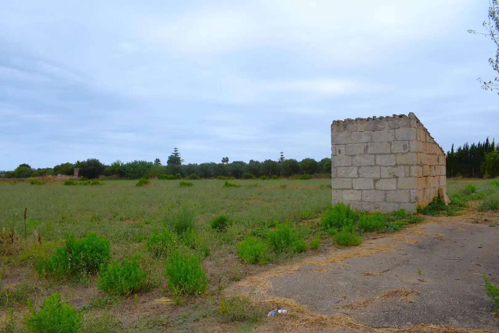 Terreny rústic en venda a Muro, imagen 12