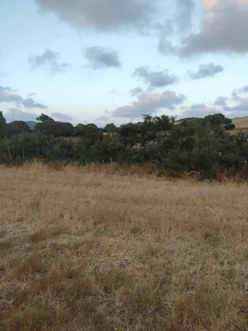 Land for sale in Vejer de la Frontera