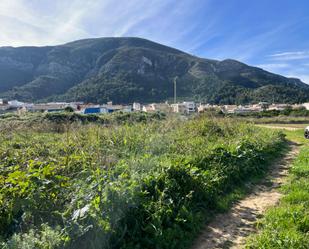 Vista exterior de Finca rústica en venda en Simat de la Valldigna amb Jardí privat