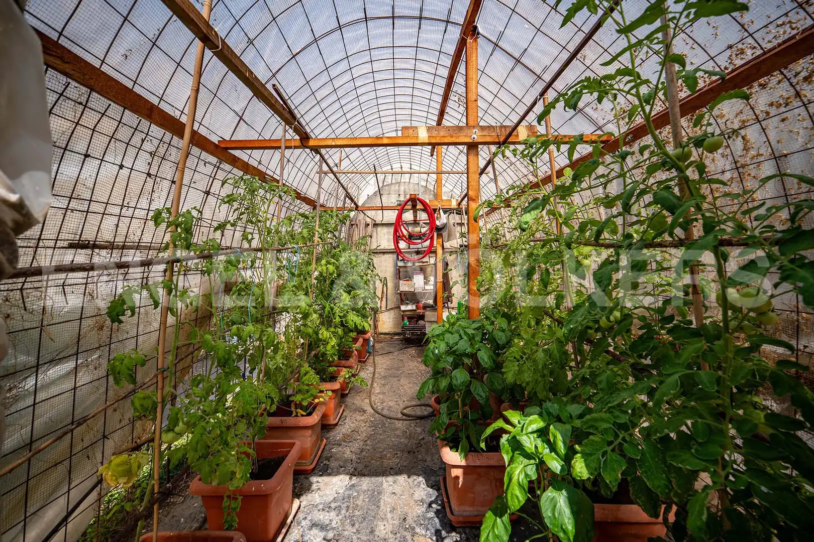 Jardí de Edifici en venda en Bossòst
