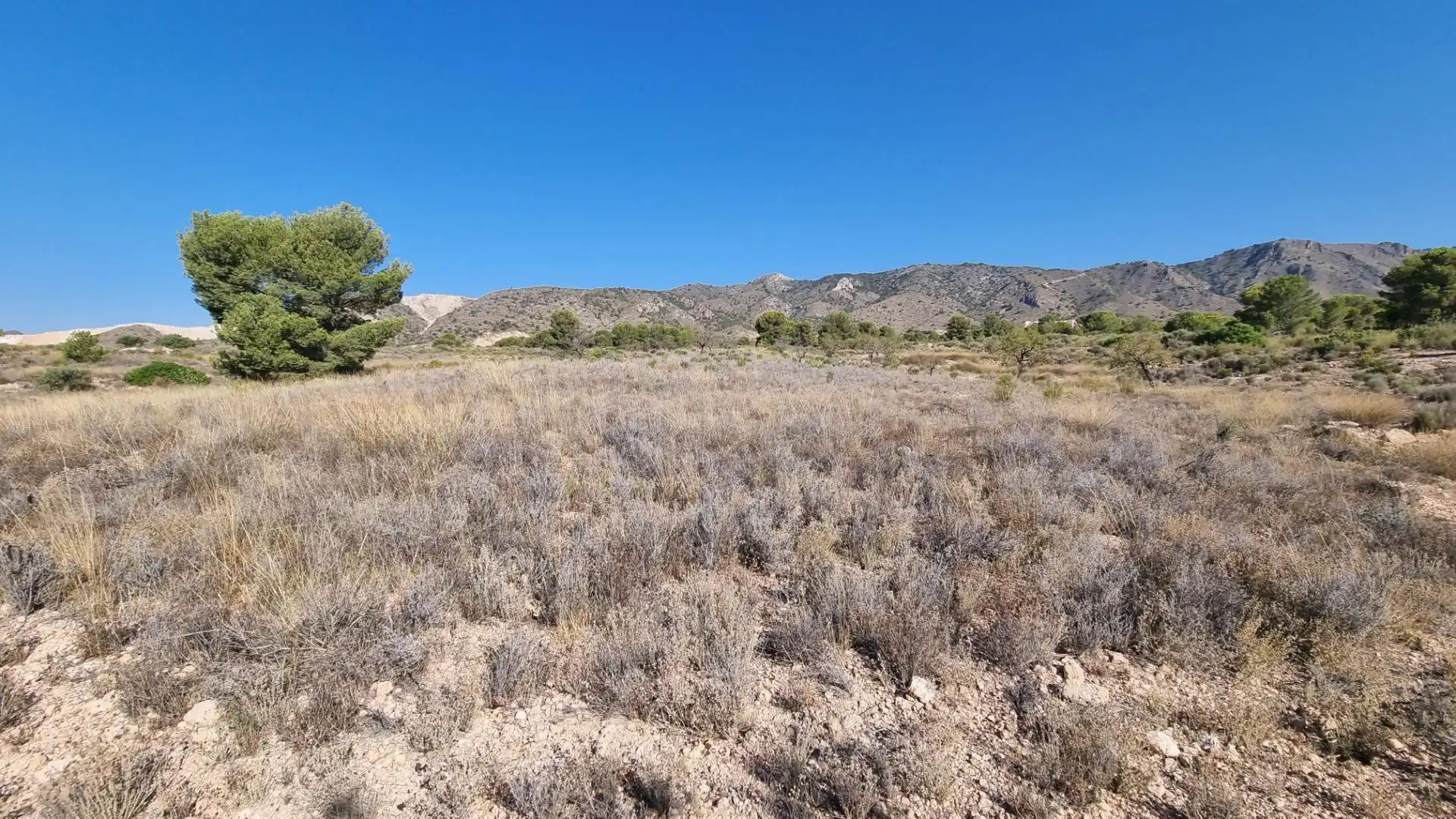 Lands and plots for sale in Abanilla, imagen 7