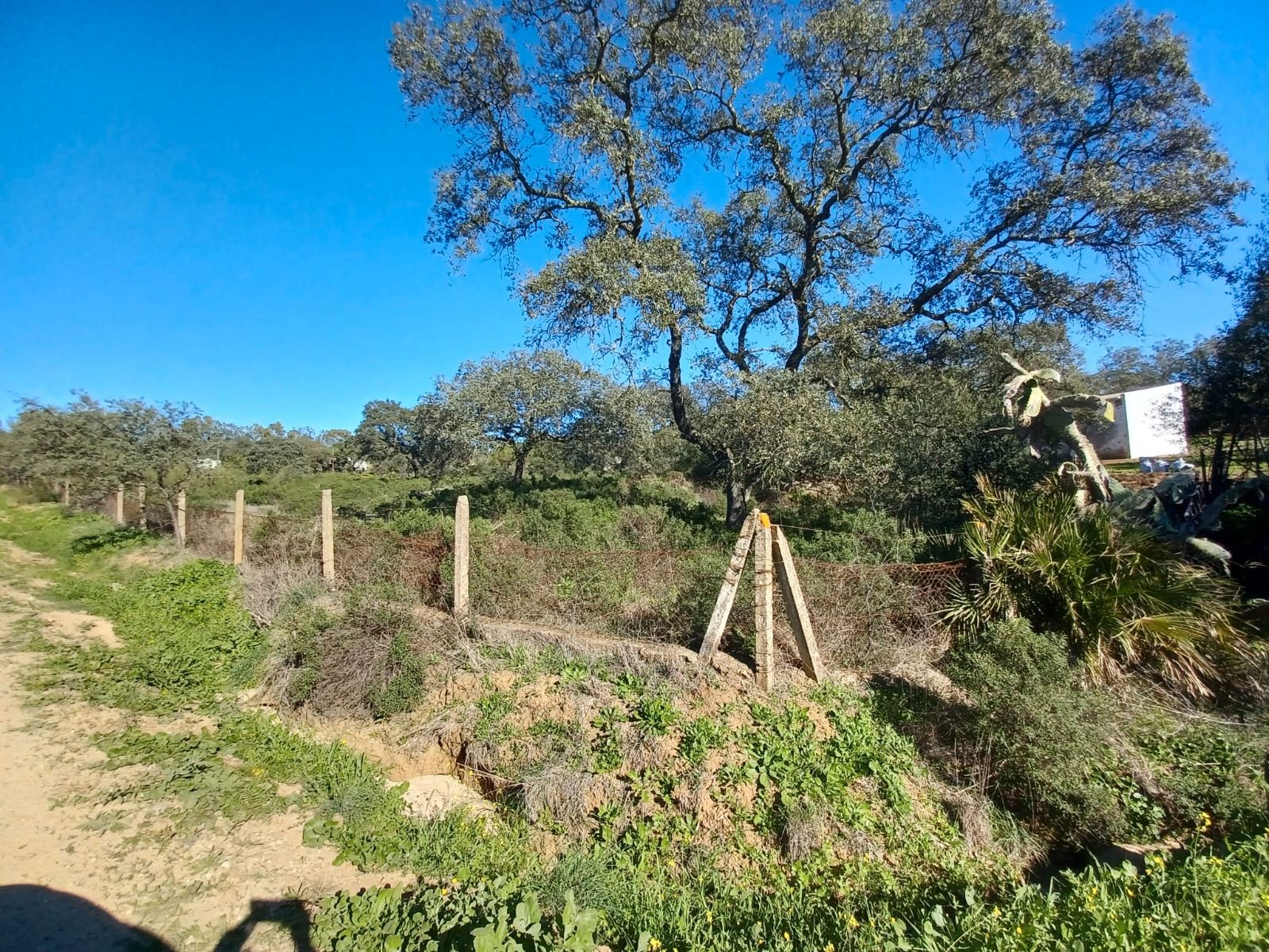 Land for sale in Castilblanco de los Arroyos