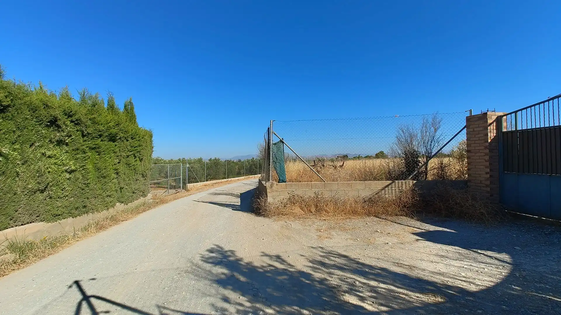 Terreno rustico in vendita a Aljancira, imagen 12