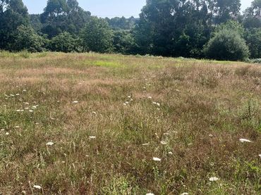 Residential land for sale in Piedras Blancas