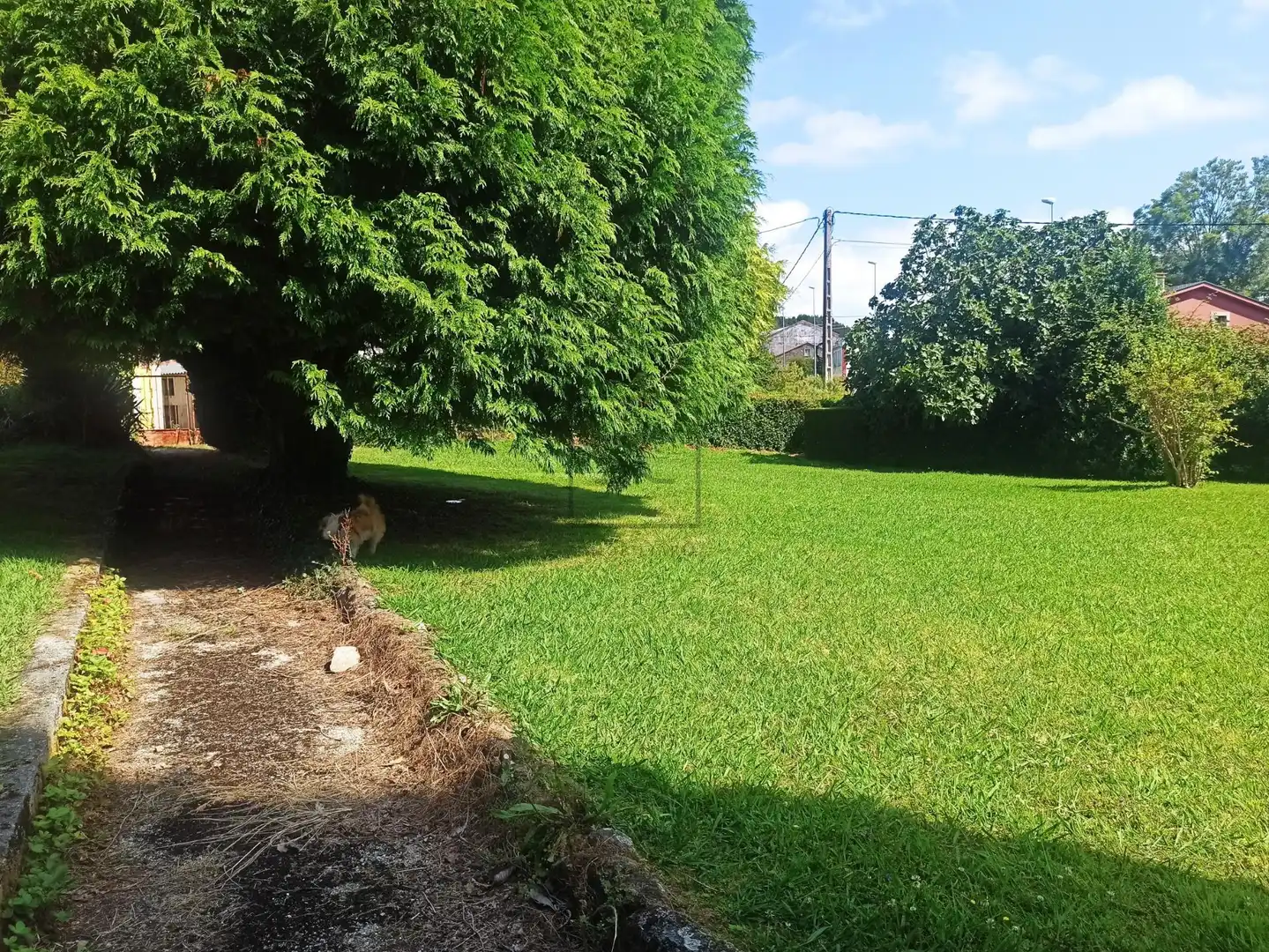 Casa o xalet en venda en Ferrol amb Jardí privat i Traster
