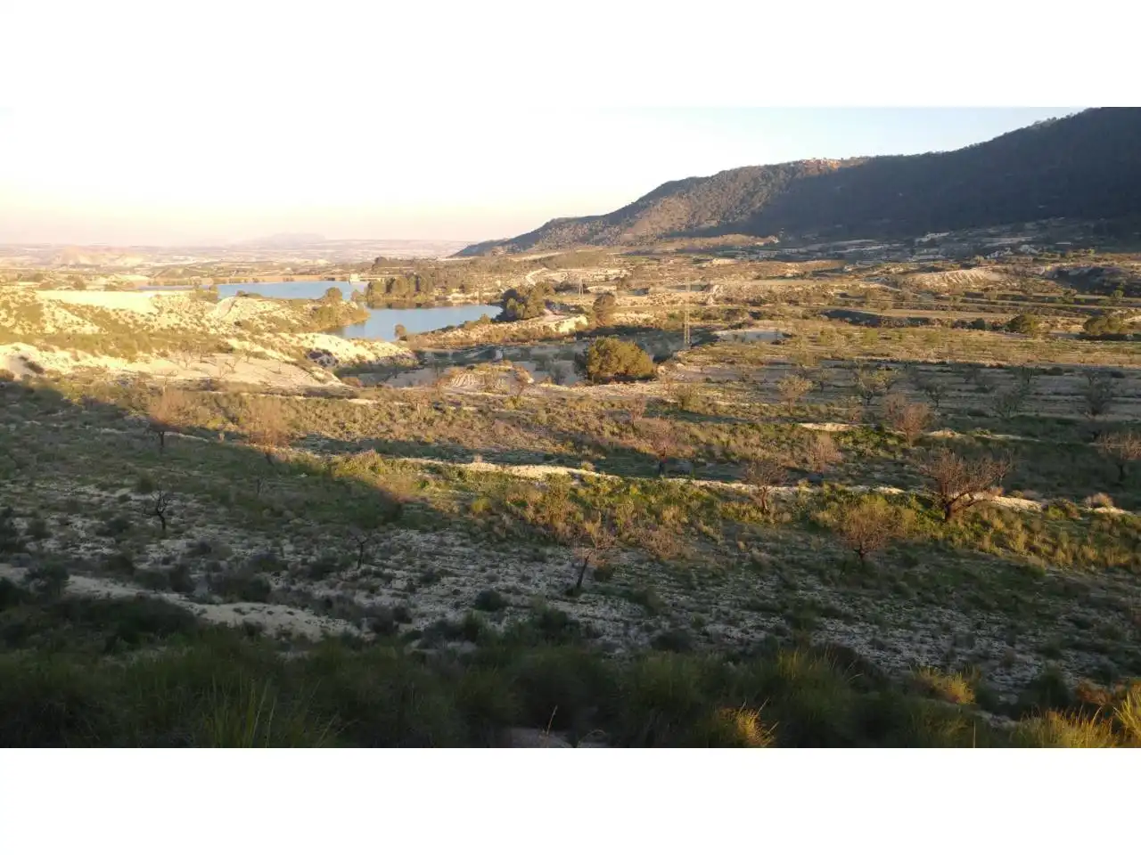 Lands and plots for sale in Ojós, imagen 2