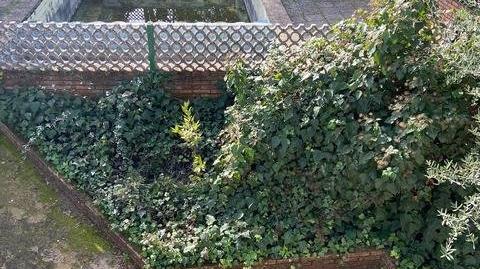 Photo 2 of Country house for sale in El Higuerón, Córdoba