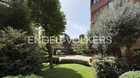 Foto 2 de Piso en venta en Nueva España, Madrid Capital