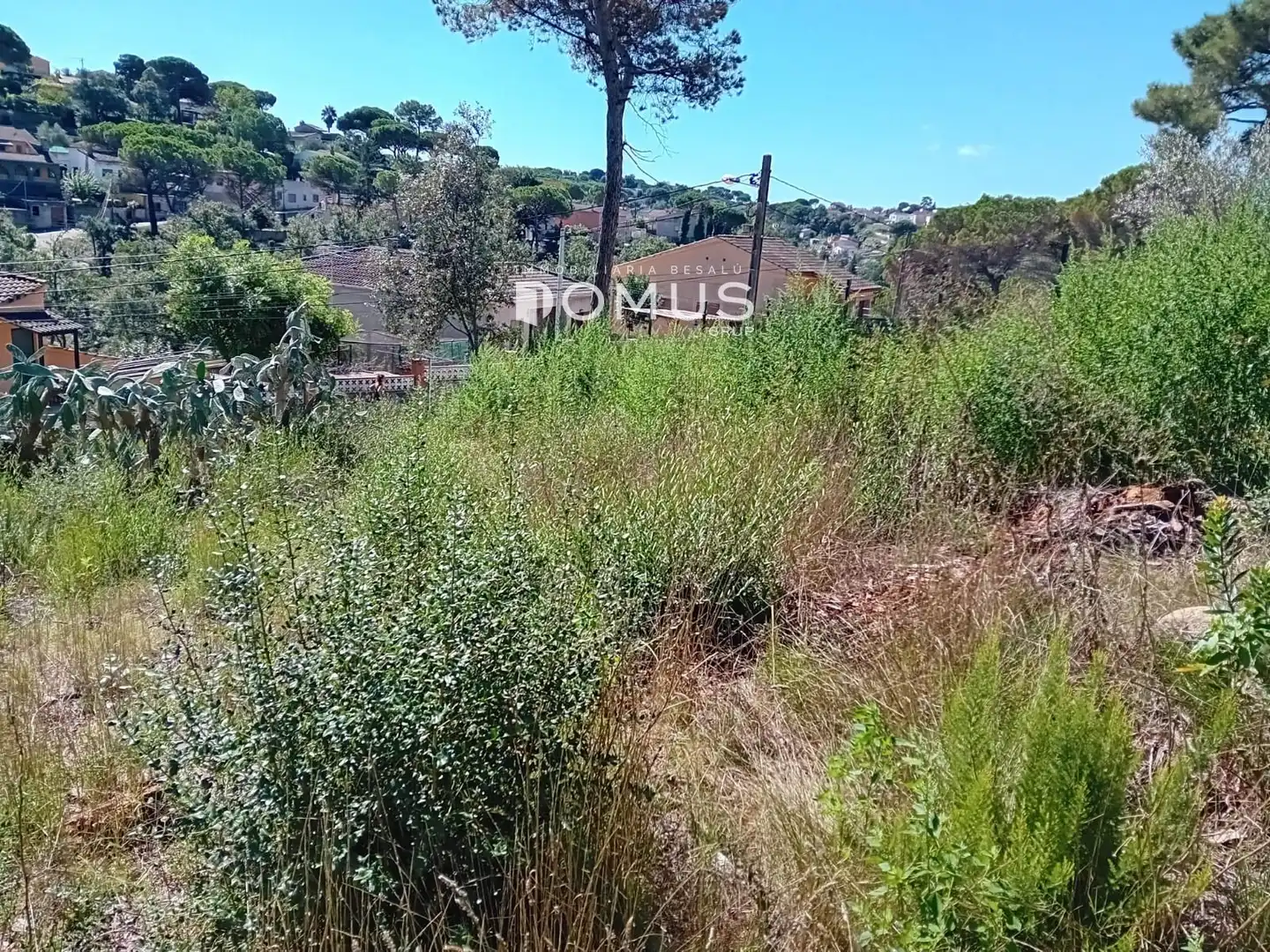 Terreno rustico in vendita a Dels Eucaliptus, imagen 9