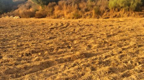 Foto 2 de Terreno en venta en Islantilla Golf, Huelva