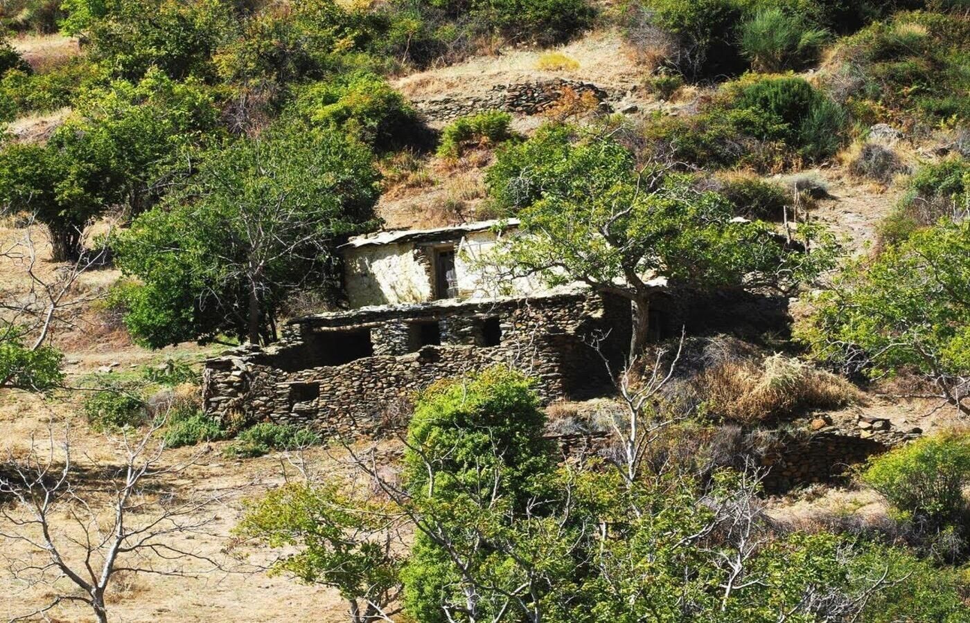 Exterior view of Country house for sale in Capileira  with Terrace