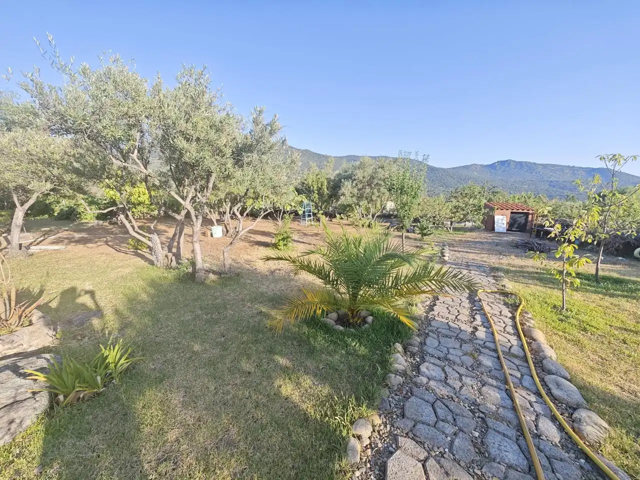 Casa o chalet en venta en El Torno