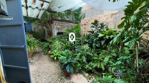 Foto 2 de Casa o xalet en venda a Santa Anna, Muro, Illes Balears