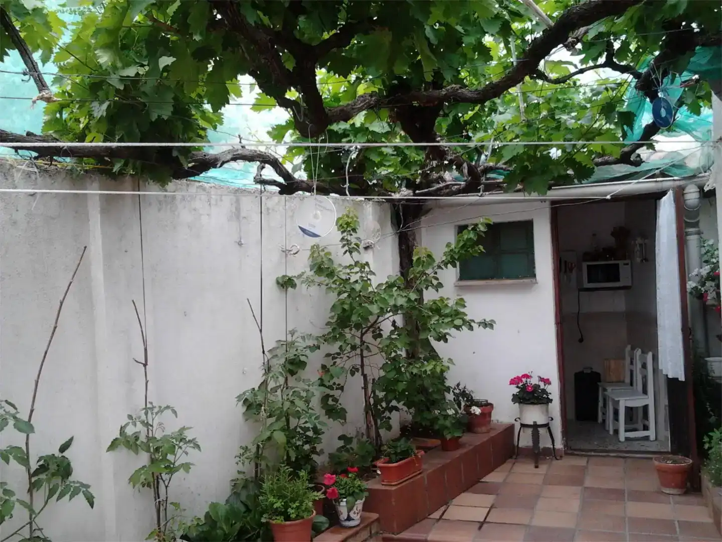 Terrassa de Finca rústica en venda en Castroverde de Campos amb Moblat