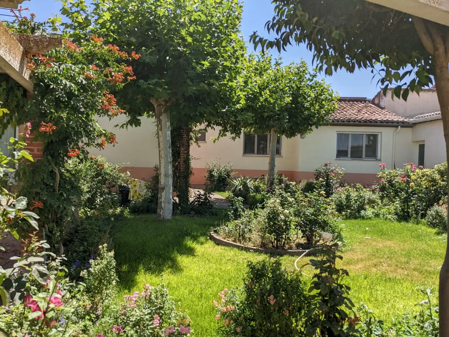 Appartement avec jardin à vendre à ZA-P-2308 5, imagen 7