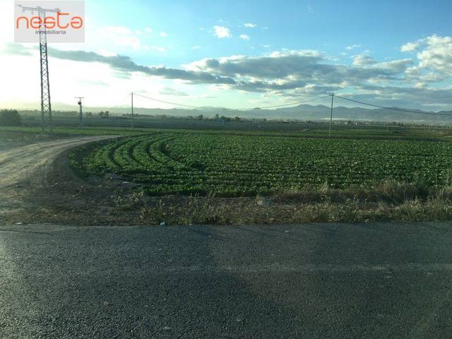 Terreno residencial en Venta en Purias