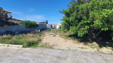 Gran oportunidad! Solar urbano de 241 m en Almanzora. Ideal para construir la casa de tus sueños. No lo dejes escapar!