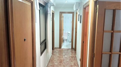 Foto 3 de Piso de alquiler en Camí dels Magros - Casablanca, Elche / Elx