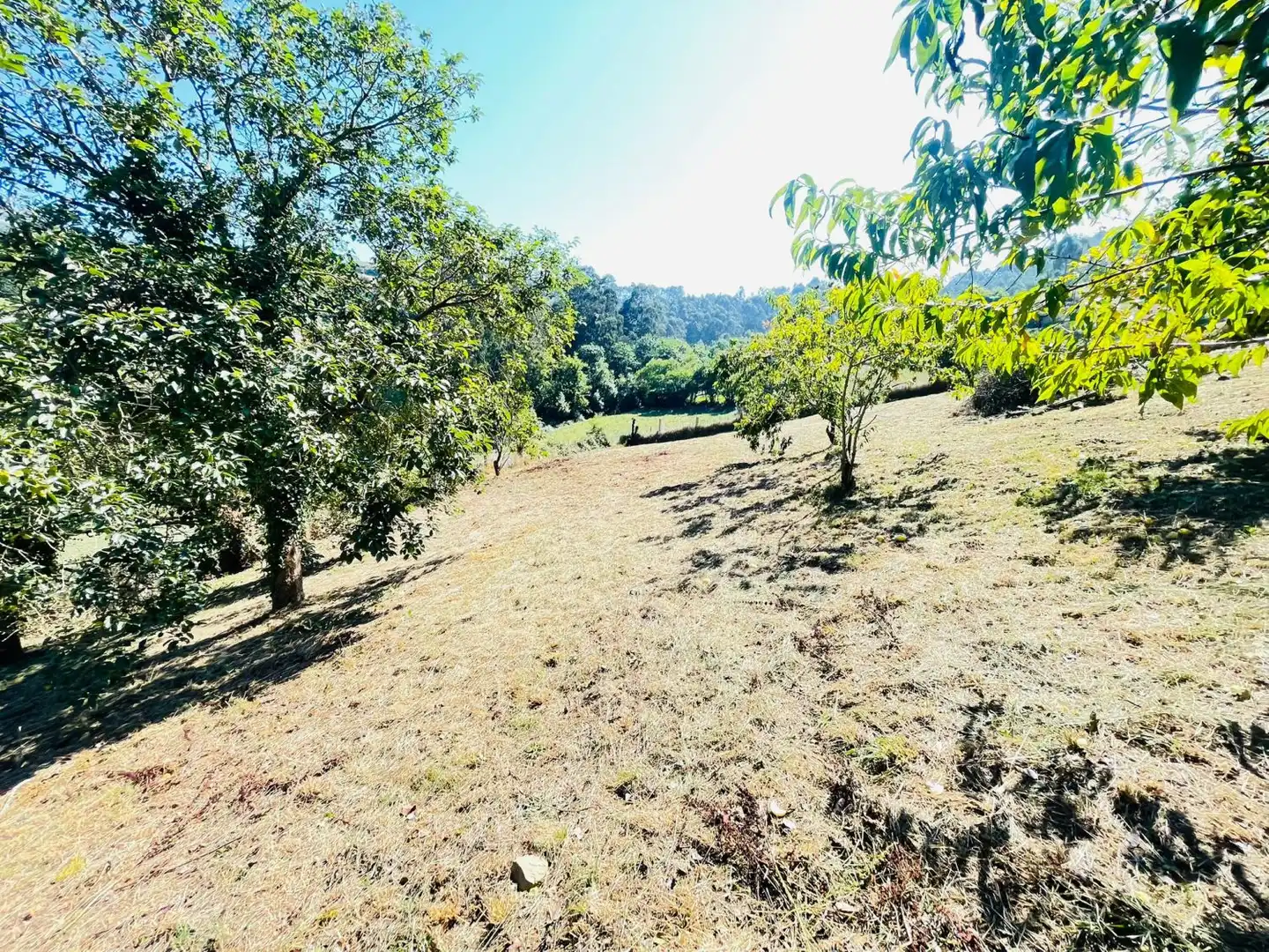 Detached house for sale in Rural, imagen 8