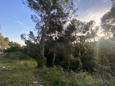 Terreno residenziale in vendita a Carrer Carrer de Jacinto Benavente 84