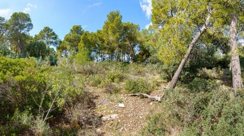 Photo 5 of Residential for sale in Cala Vinyes, Illes Balears