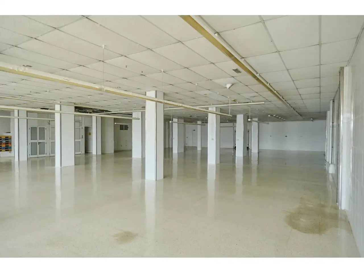 Business premises to rent in Tenesor Semidan, imagen 5