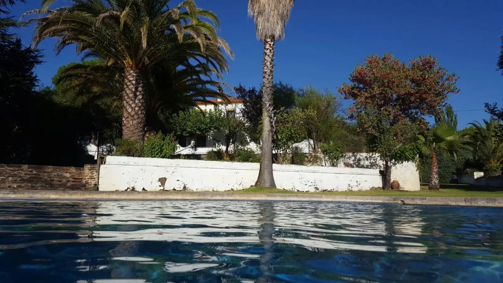 Piscina de Finca rústica en venda en Plasencia amb Aire condicionat, Calefacció i Jardí privat