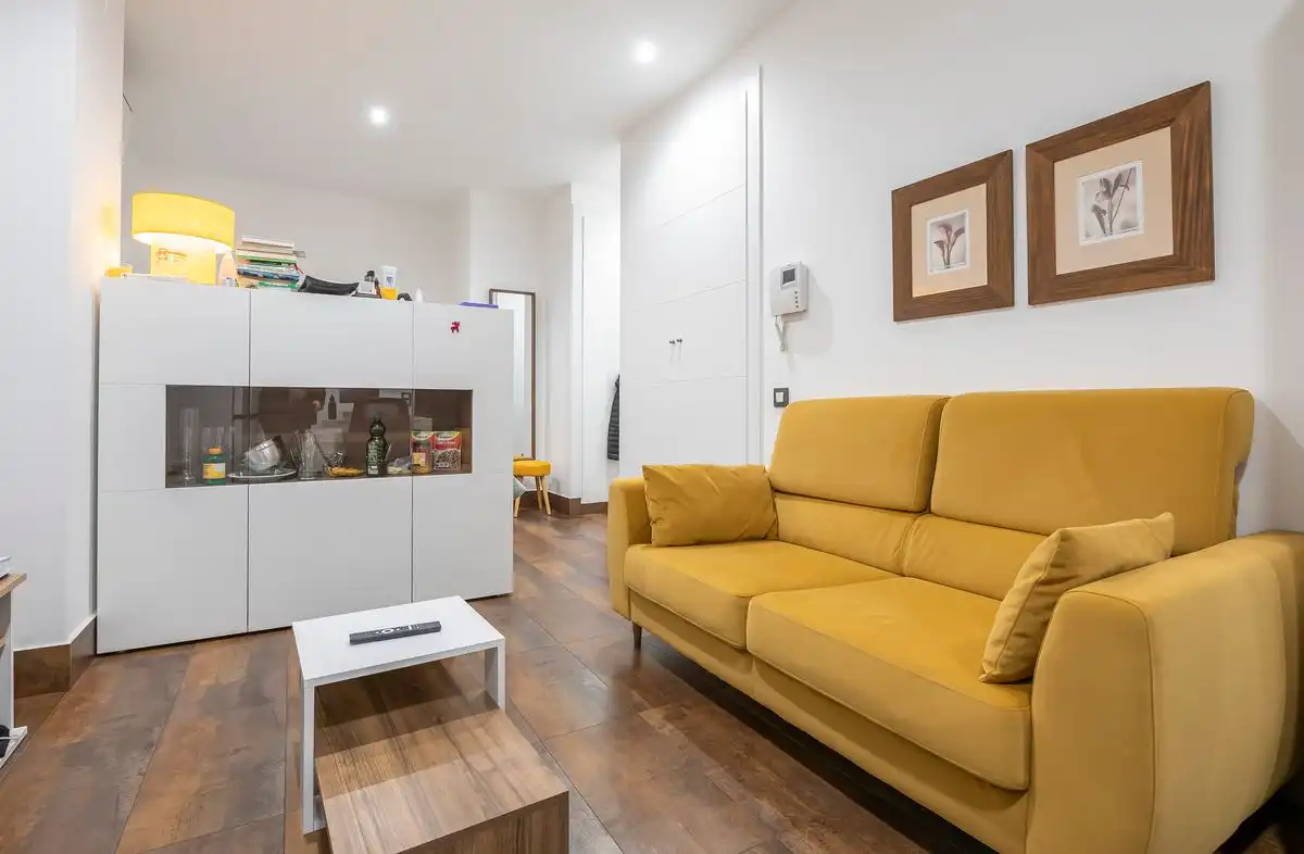 Studio with lift for sale in Calle del Cañaveral, imagen 3